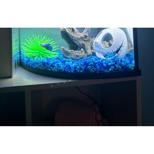 Meet your Posher, Reina